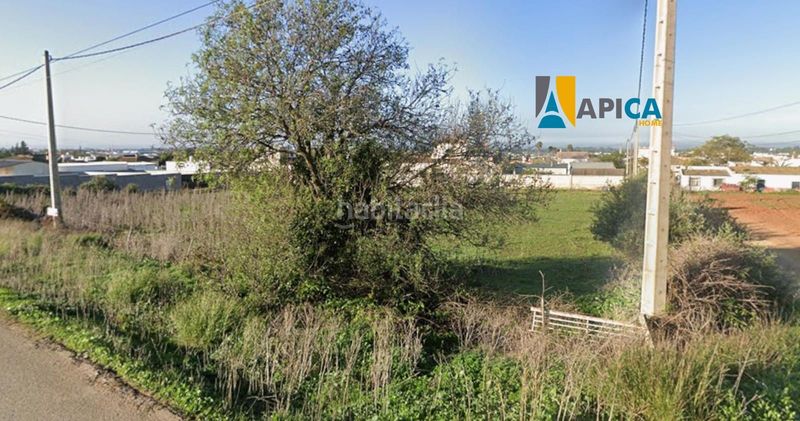 Foto 1c84c372-8b35-40bd-9274-3a9f3348c9ff. Finca rústica a Barrio Nuevo Conil de la Frontera
