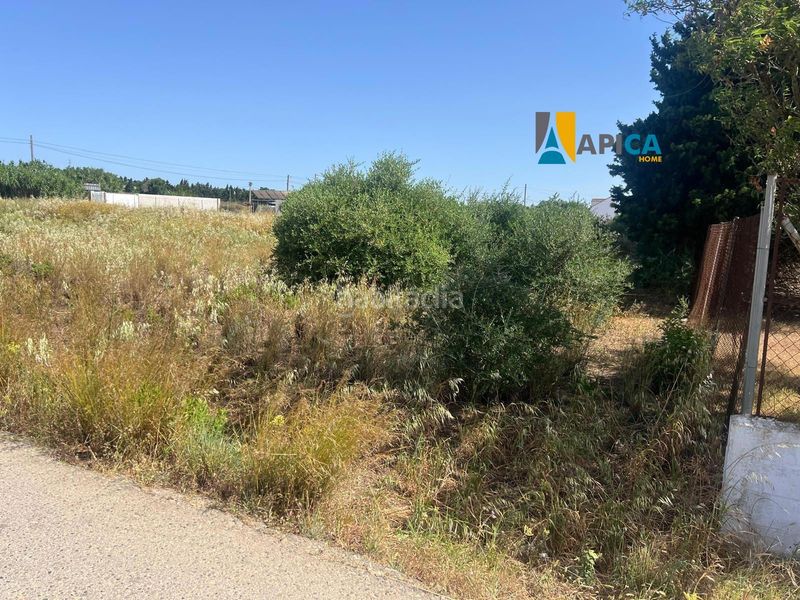 Foto 3cb091be-cc36-4165-8272-3125a7c1de9f. Finca rústica a Barrio Nuevo Conil de la Frontera