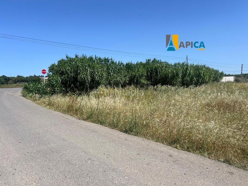 Foto 46001fa0-2aee-408a-b57b-f6f8b3f63256. Finca rústica a Barrio Nuevo Conil de la Frontera