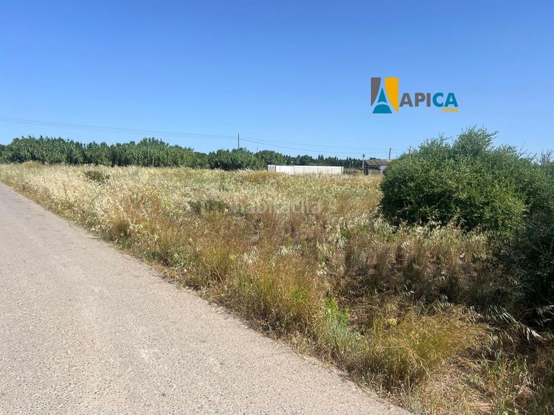 Foto 55ef347b-5e61-4fb6-8160-95261d782414. Finca rústica a Barrio Nuevo Conil de la Frontera