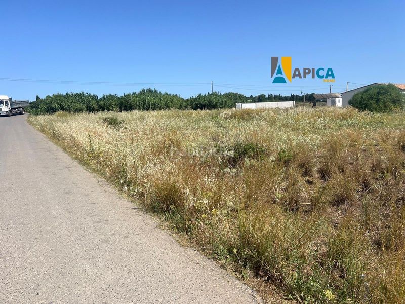 Foto 6272c6d0-f489-4d91-95b2-21f90394c306. Finca rústica a Barrio Nuevo Conil de la Frontera