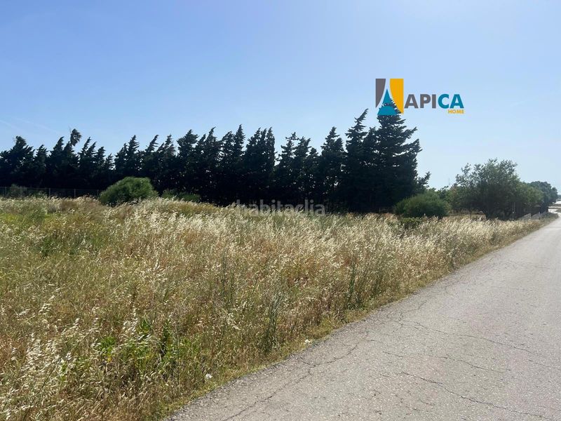 Foto 6ce990db-b5fa-4e16-8a7b-b96a0f99bfbb. Finca rústica a Barrio Nuevo Conil de la Frontera