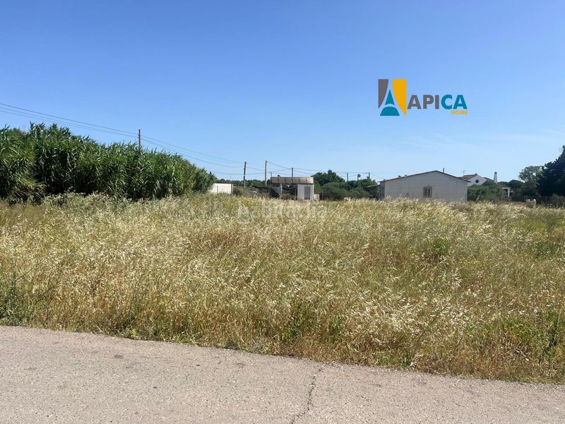 Foto 9f549c24-40f6-4438-bf81-df23b8a65cef. Finca rústica a Barrio Nuevo Conil de la Frontera