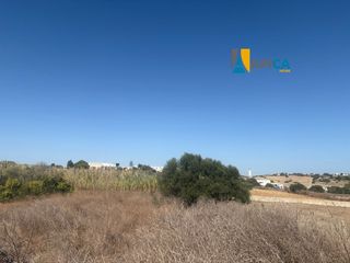 Rural plot in Conil. Gran parcela de 1.486 m en la lobita  conil de la frontera!