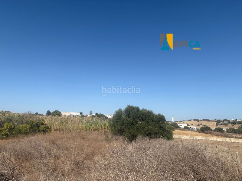 Foto b7595708-99e4-43f7-87f1-61ceca6ff545. Finca rústica a Conil Conil de la Frontera