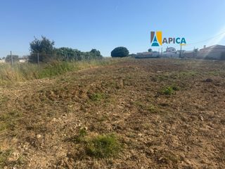 Landgut in Los Franceses - La Vega. Parcela rústica y segregada en chiclana de la frontera
