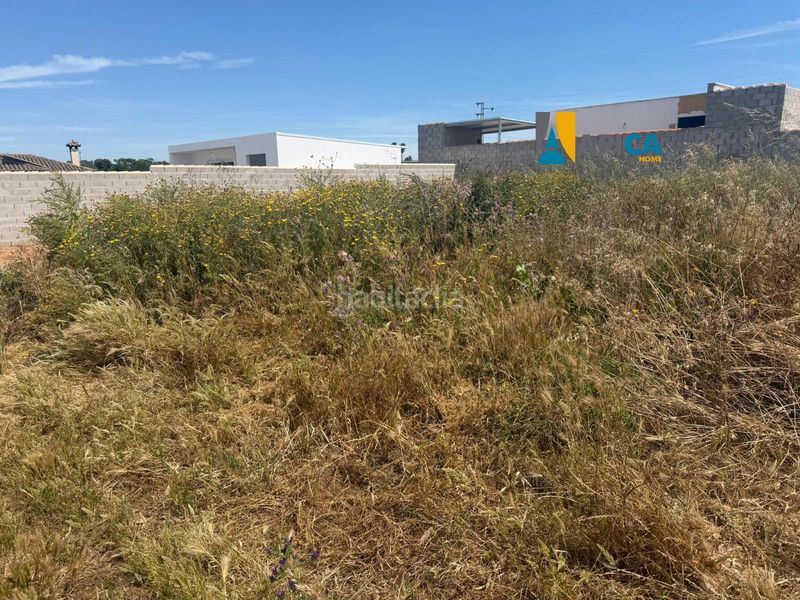 Foto 57d58fa8-7654-425f-a754-6962605511fa. Finca rústica a Las Lagunas - Campano Chiclana de la Frontera