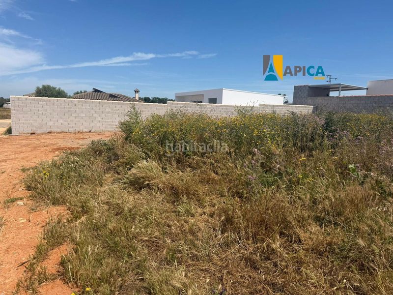 Foto f0e555c9-9b08-42e7-a22d-06a75998198f. Finca rústica a Las Lagunas - Campano Chiclana de la Frontera