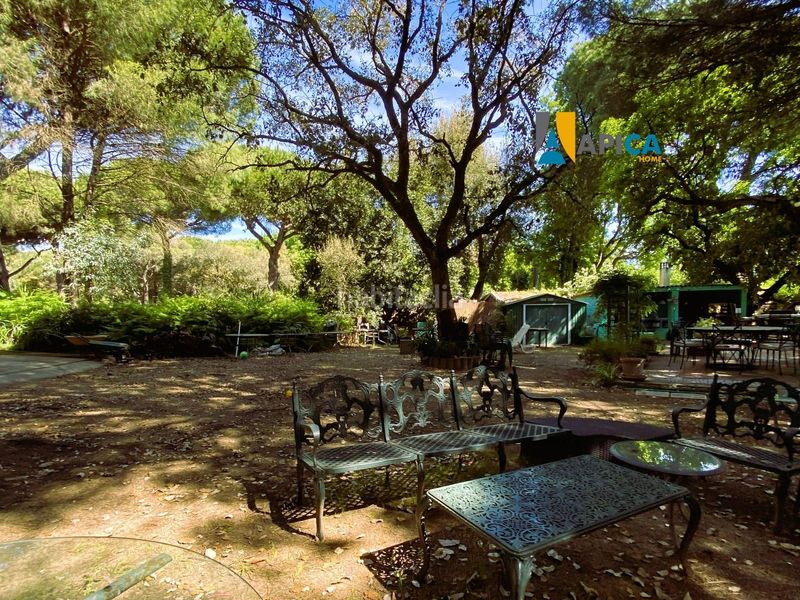 Foto f3397220-31e2-47ee-a209-dd078925c091. Finca rústica a Castellar de la Frontera