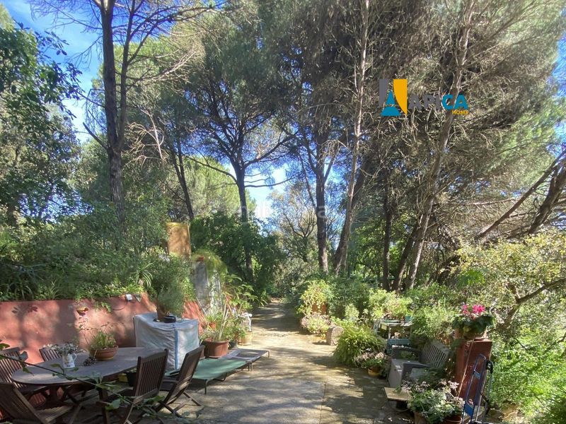 Foto fe4039d8-75cd-4a85-ae5d-57c3510cafca. Finca rústica a Castellar de la Frontera