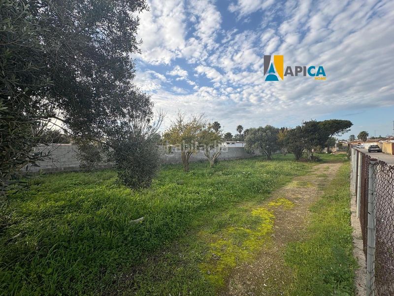 Foto fa5d5082-5781-4e52-a77a-7cf9cbad39e1. Xalet a Las Lagunas - Campano Chiclana de la Frontera