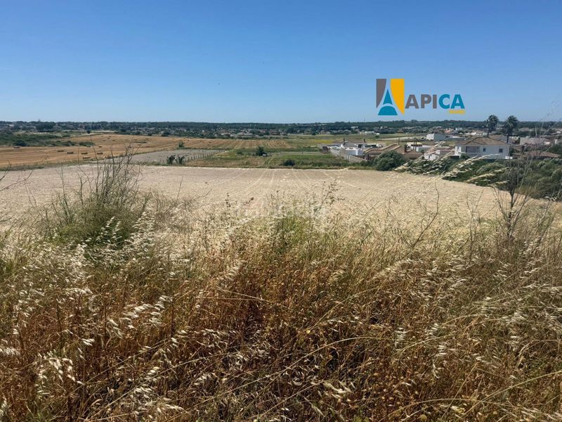 Foto 28407fea-2b20-42ac-811c-0912ca3d9266. Finca rústica a Núcleo urbano Chiclana de la Frontera