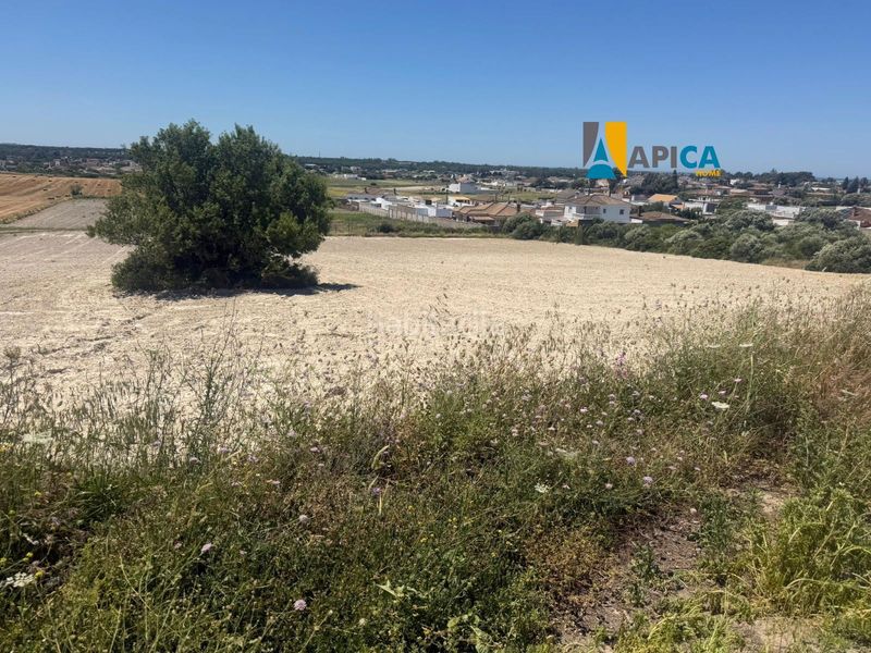 Foto 790d0c9b-b951-40d0-ae50-33b0248f7e98. Finca rústica a Núcleo urbano Chiclana de la Frontera