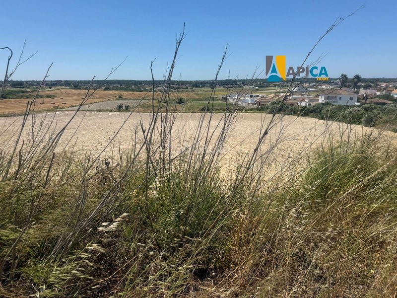 Foto e1bb8aee-945c-4c93-aa98-7165163ee58f. Finca rústica a Núcleo urbano Chiclana de la Frontera