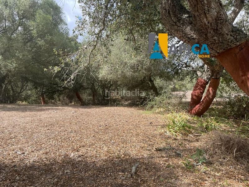 Foto b0024dee-7705-4791-863e-5456373916f4. Finca rústica a Vejer Vejer de la Frontera
