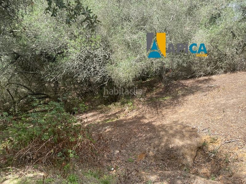 Foto c8621f5a-7397-4596-952b-8d07db231975. Finca rústica a Vejer Vejer de la Frontera