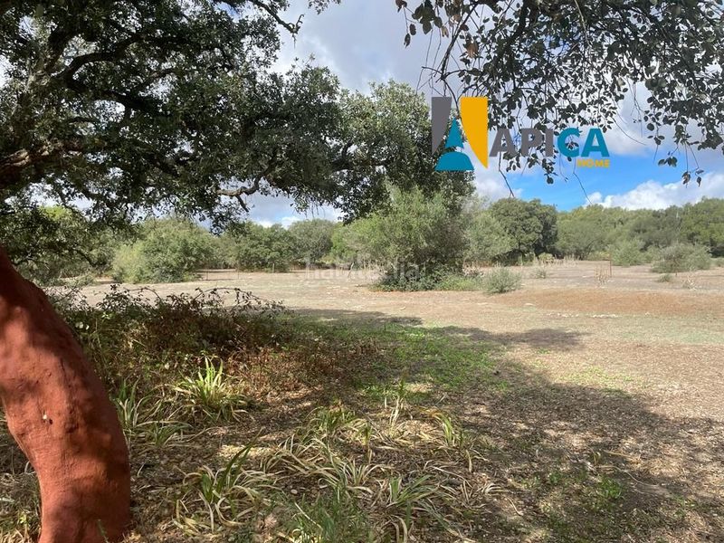 Foto ee40dc23-d28a-4ab2-923d-63a53341c308. Finca rústica a Vejer Vejer de la Frontera