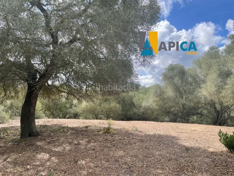 Foto fc1e5cbd-bbc2-4ace-9d48-b88e2327e381. Finca rústica a Vejer Vejer de la Frontera