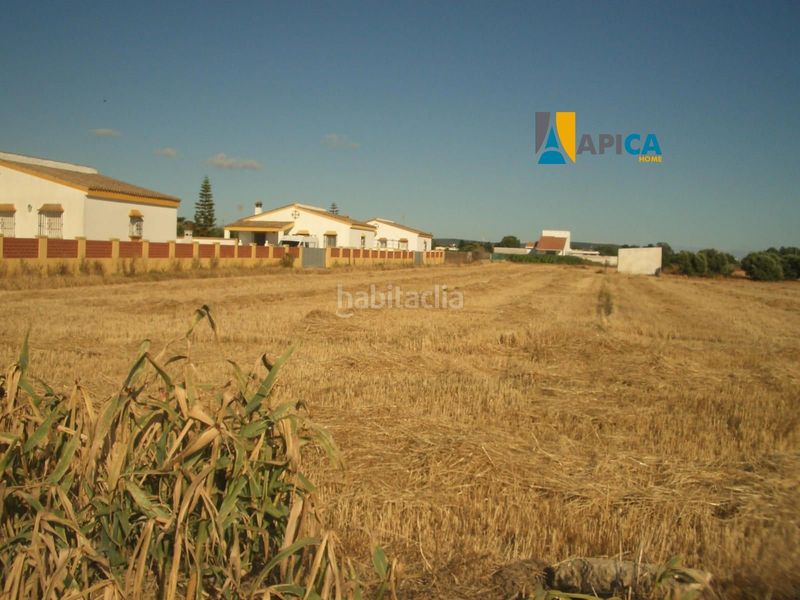 Foto 1695ea5e-9542-42cf-9517-ec1cd5c3e66b. Finca rústica a El Palmar Vejer de la Frontera