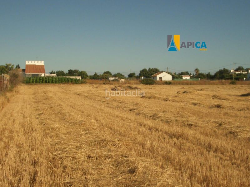 Foto 3de7c2fe-256d-480a-93cf-35ab4668ca60. Finca rústica a El Palmar Vejer de la Frontera