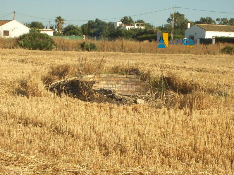 Foto 73ffd82a-fae6-4bb4-9267-cb56c800cf68. Finca rústica a El Palmar Vejer de la Frontera