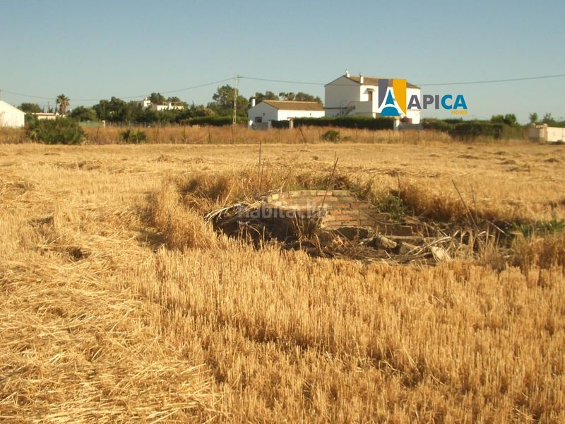 Foto 94809ca5-f11e-47c1-9670-0137f3d72888. Finca rústica a El Palmar Vejer de la Frontera