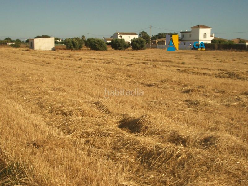 Foto a2f7205a-d2a7-4561-beaf-5d6267175f56. Finca rústica a El Palmar Vejer de la Frontera