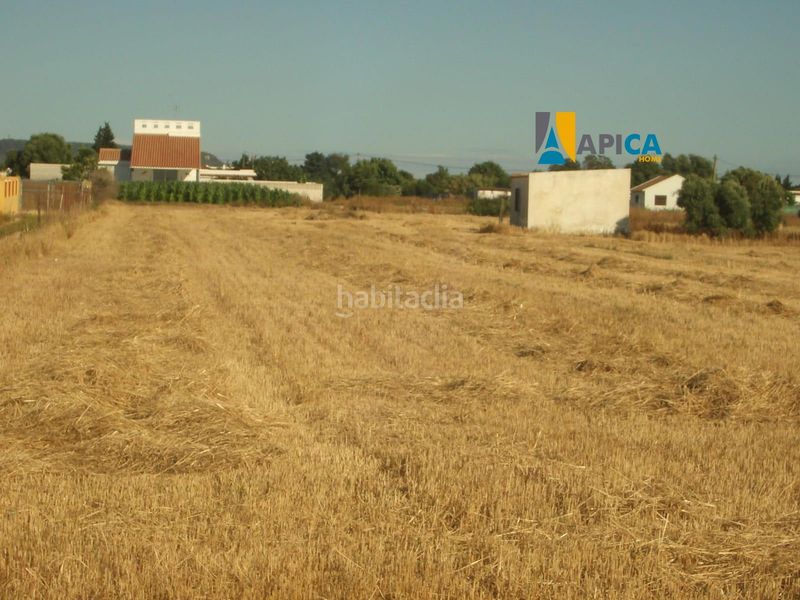 Foto a8c6d54b-4cab-4ffd-a3b4-f2af8c1e5f3d. Finca rústica a El Palmar Vejer de la Frontera