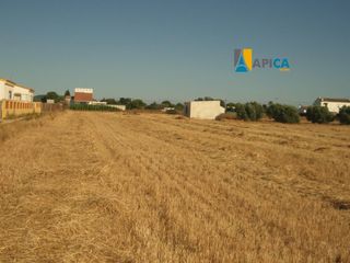 Landgut in El Palmar. Parcela en el palmar! finca segregada de 2.794 m