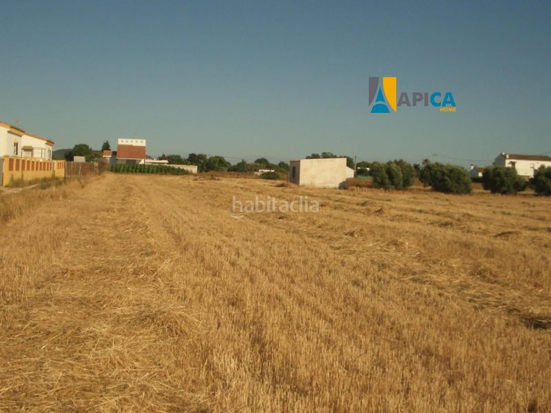 Foto c0a144b0-096d-42ad-9c03-249c0e91e0a8. Finca rústica a El Palmar Vejer de la Frontera
