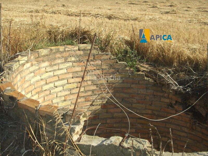 Foto cd98f6b9-d1e6-4ef7-8cb0-07360cc72ba1. Finca rústica a El Palmar Vejer de la Frontera