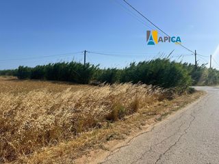 Rural plot in Conil. Oportunidad en las parcelas de roche! 1.932 m junto a las calas