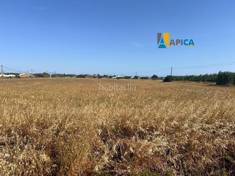 Foto 501d6fa4-d9f2-4b70-ab22-41472748c32f. Finca rústica a Conil Conil de la Frontera