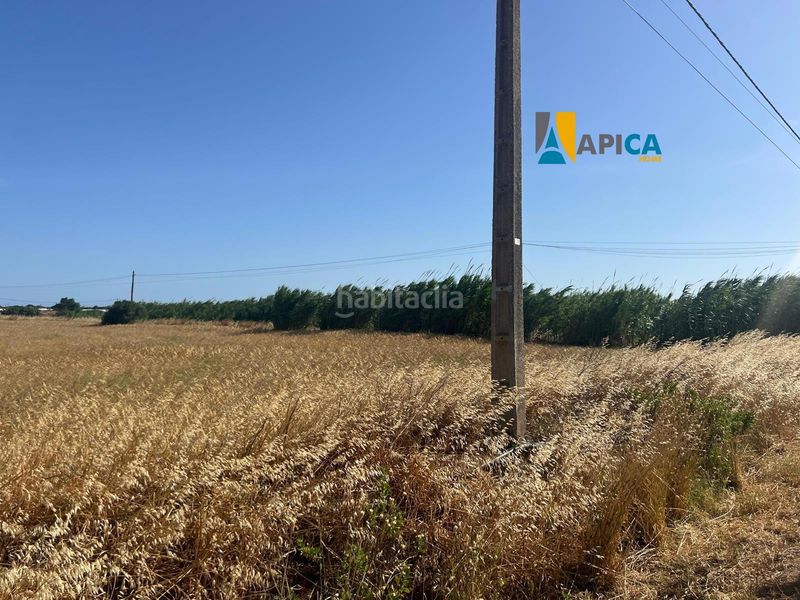 Foto 58f2f429-9ab5-40e8-a8a2-cd524464273b. Finca rústica a Conil Conil de la Frontera