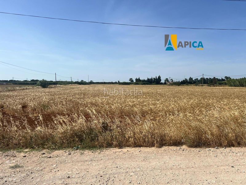 Foto 862e8ab3-c000-4488-946e-27540736dfdc. Finca rústica a Conil Conil de la Frontera
