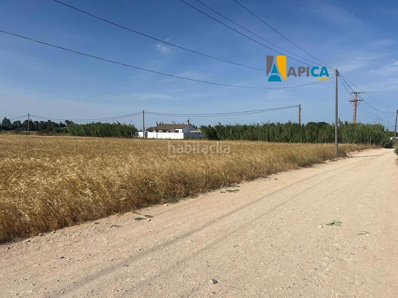 Foto 8d8f3dcd-cfb3-4f08-adff-a47c1a2c8f68. Finca rústica a Conil Conil de la Frontera