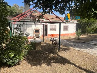 Chalet à Barrio Nuevo. Finca de 2.800 m con casa de campo, apartamento y piscina en bar