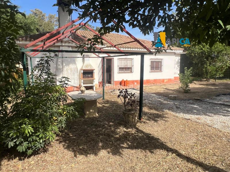 Foto 4b2318b4-098b-4112-8408-1a79fe6c2832. Chalet avec piscine dans Barrio Nuevo Conil de la Frontera