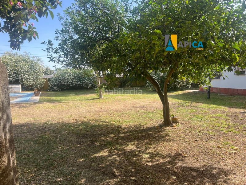 Foto 66c1b763-dc4e-43ce-9c42-7096fe7ed929. Chalet avec piscine dans Barrio Nuevo Conil de la Frontera
