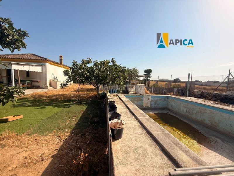 Foto ecbbcf79-da33-4ba7-8e51-fc2774550f69. Fondo rustico in El Juncal - Vallealto Puerto de Santa María (El)