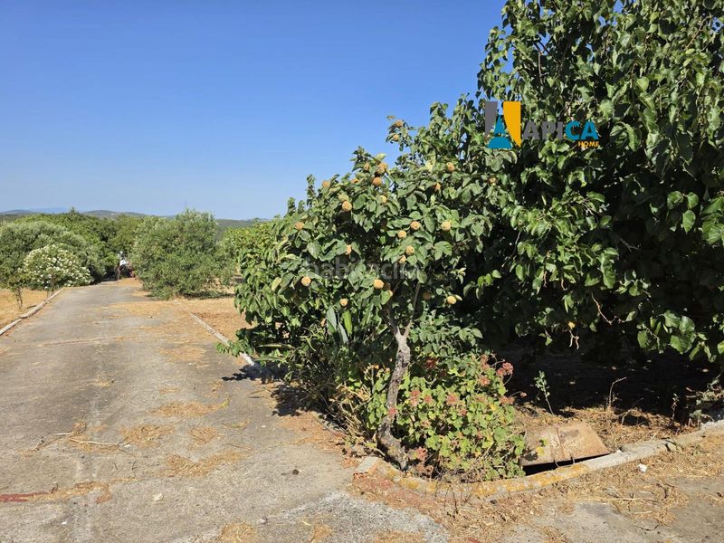 Foto d03a0dfa-4a5d-4120-8bdd-44474822ad06. Xalet amb aparcament a Pelagatos - Pago del Humo Chiclana de la Frontera