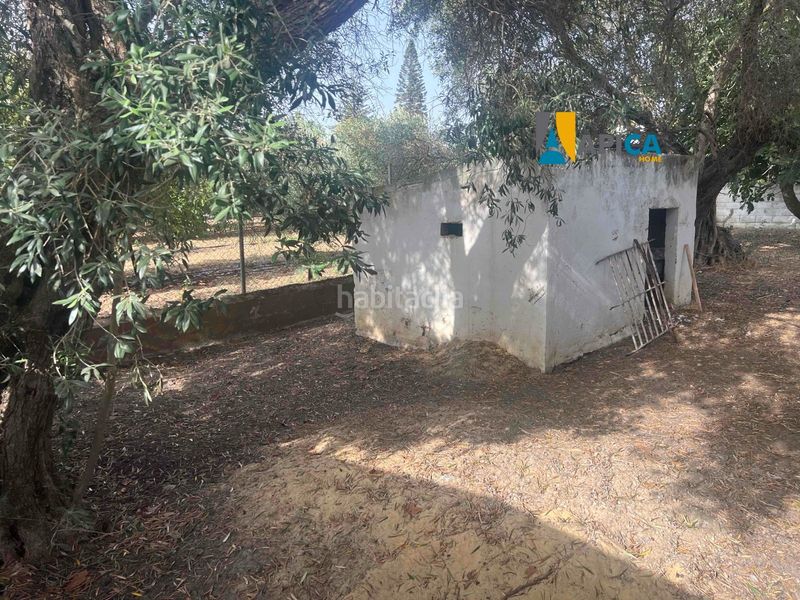 Foto 4a341db4-2d83-4d89-9d65-44341d137ad5. Xalet a Barrio Nuevo Conil de la Frontera
