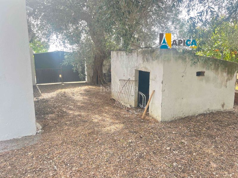 Foto 830734d3-40b5-4ba0-bb51-5d6062d07bab. Xalet a Barrio Nuevo Conil de la Frontera