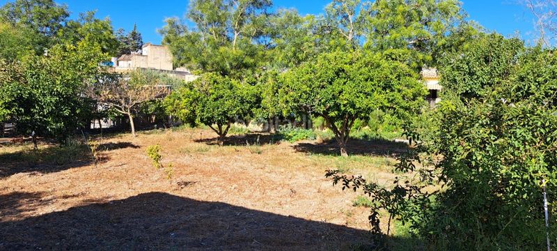 Foto 309e3c04-90da-4445-9180-a677e87f4103. Casa amb aparcament piscina a Parque Atlántico - Ronda este Jerez de la Frontera