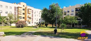 Pis a Puertas del sur - Guadabajaque