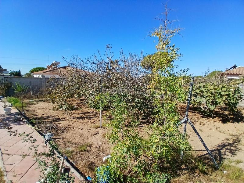 Foto 8f715c13-e654-47b5-a95a-cbcc6cd3b76d. Xalet amb piscina a El Almedral Puerto Real