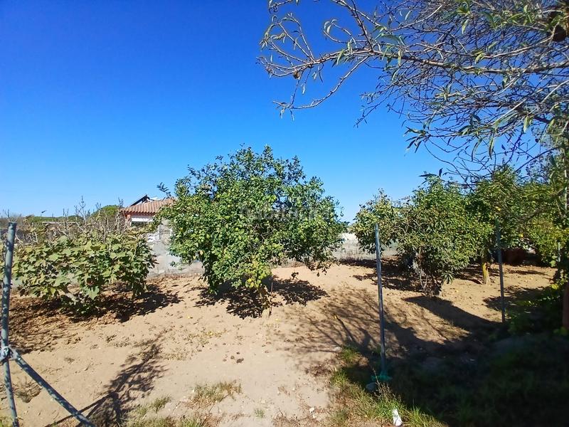 Foto e97d2f76-8713-4bbb-b7ba-33fe3aafac8e. Xalet amb piscina a El Almedral Puerto Real