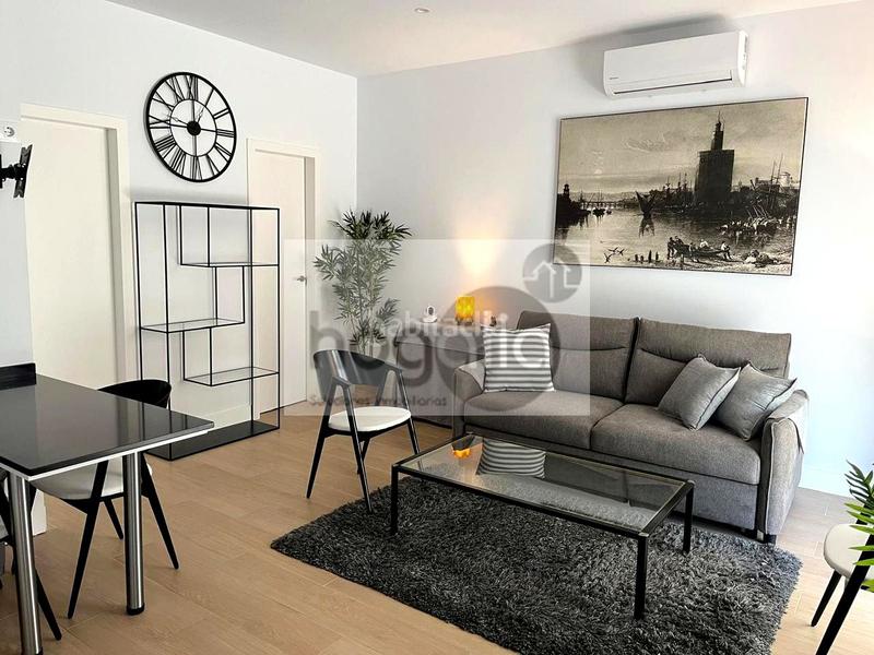 Foto 475522e1-5c61-4e5d-bb9e-87a3460d8b3f. Alquiler planta baja en Barrio del Nervión Sevilla