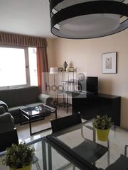 Location Appartement à Parque María Luisa -Giralda Sur