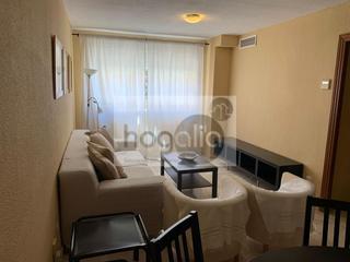 Location Appartement à El Porvenir